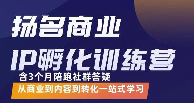 杨名商业IP孵化训练营，从商业到内容到转化一站式学 价值5980元网赚项目-副业赚钱-互联网创业-独家轻创IP星泽云创
