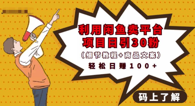 利用闲鱼卖平台项目课程资源日引流30+精准粉丝，轻松日赚100+，积累人脉可实现二次变现（细节教程+商品文案）网赚项目-副业赚钱-互联网创业-独家轻创IP星泽云创