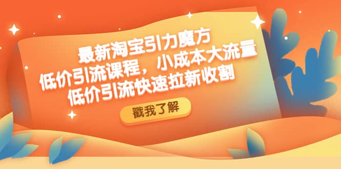 最新淘宝引力魔方低价引流实操：小成本大流量网赚项目-副业赚钱-互联网创业-独家轻创IP星泽云创