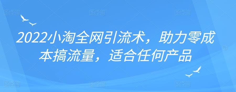 2022年小淘全网引流术，助力零成本搞流量，适合任何产品网赚项目-副业赚钱-互联网创业-独家轻创IP星泽云创