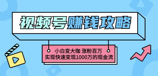 玩转微信视频号赚钱：小白变大咖涨粉百万实现快速变现1000万的现金流网赚项目-副业赚钱-互联网创业-独家轻创IP星泽云创