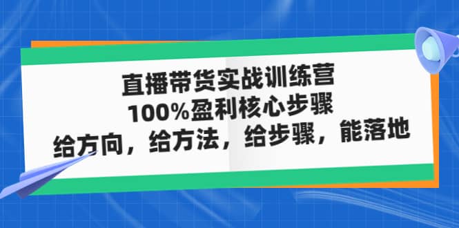 直播带货实战训练营：100%盈利核心步骤，给方向，给方法，给步骤，能落地网赚项目-副业赚钱-互联网创业-独家轻创IP星泽云创