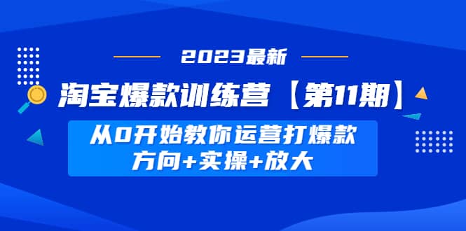 淘宝爆款训练营【第11期】 从0开始教你运营打爆款，方向+实操+放大网赚项目-副业赚钱-互联网创业-独家轻创IP星泽云创