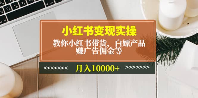 小红书变现实操：教你小红书带货，白嫖产品，赚广告佣金等网赚项目-副业赚钱-互联网创业-独家轻创IP星泽云创