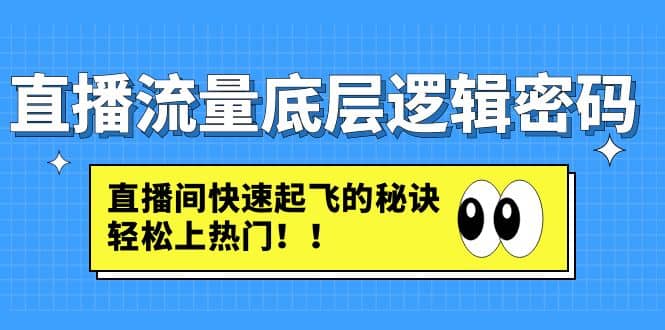 直播流量底层逻辑密码：直播间快速起飞的秘诀，轻松上热门网赚项目-副业赚钱-互联网创业-独家轻创IP星泽云创
