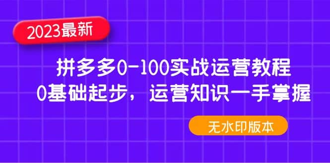 2023拼多多0-100实战运营教程，0基础起步，运营知识一手掌握（无水印）网赚项目-副业赚钱-互联网创业-独家轻创IP星泽云创