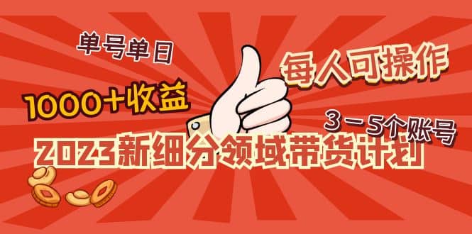 2023新细分领域带货计划：单号单日1000+收益不难，每人可操作3-5个账号网赚项目-副业赚钱-互联网创业-独家轻创IP星泽云创