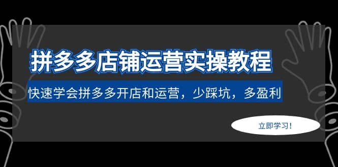拼多多店铺运营实操教程：快速学会拼多多开店和运营，少踩坑，多盈利网赚项目-副业赚钱-互联网创业-独家轻创IP星泽云创