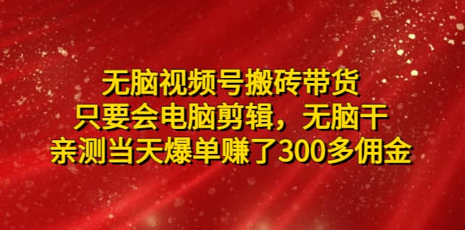 无脑视频号搬砖带货，只要会电脑剪辑，无脑干网赚项目-副业赚钱-互联网创业-独家轻创IP星泽云创