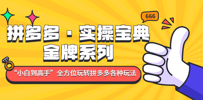 拼多多·实操宝典：金牌系列“小白到高手”带你全方位玩转拼多多各种玩法网赚项目-副业赚钱-互联网创业-独家轻创IP星泽云创