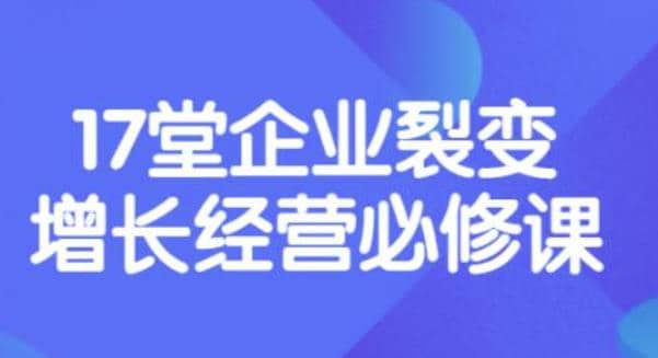 《盈利增长17堂必修课》企业裂变增长的经营智慧，带你了解增长的本质网赚项目-副业赚钱-互联网创业-独家轻创IP星泽云创