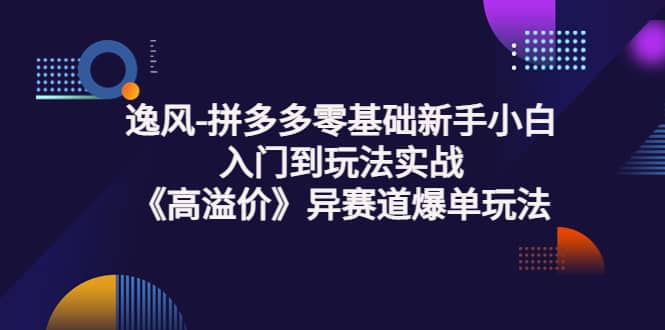 拼多多零基础新手小白入门到玩法实战《高溢价》异赛道爆单玩法实操课网赚项目-副业赚钱-互联网创业-独家轻创IP星泽云创