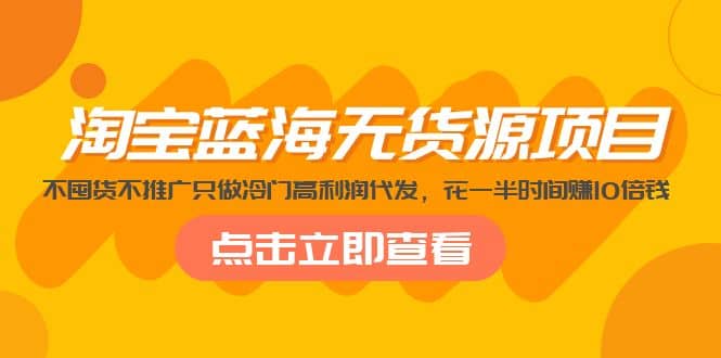 淘宝蓝海无货源项目，不囤货不推广只做冷门高利润代发网赚项目-副业赚钱-互联网创业-独家轻创IP星泽云创