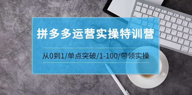 拼多多运营实操特训营：从0到1/单点突破/1-100/带领实操 价值2980元网赚项目-副业赚钱-互联网创业-独家轻创IP星泽云创