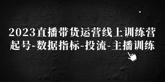 2023直播带货运营线上训练营，起号-数据指标-投流-主播训练网赚项目-副业赚钱-互联网创业-独家轻创IP星泽云创