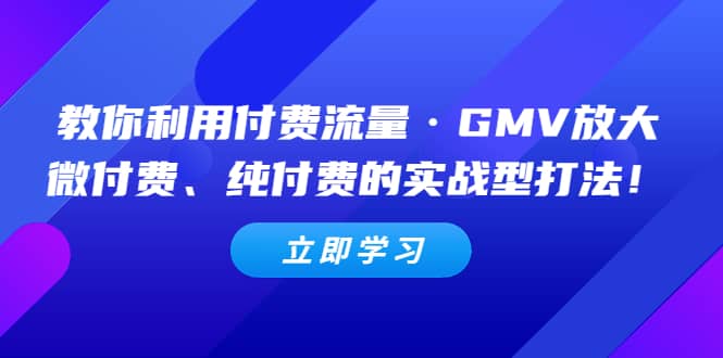 教你利用付费流量·GMV放大，微付费、纯付费的实战型打法网赚项目-副业赚钱-互联网创业-独家轻创IP星泽云创