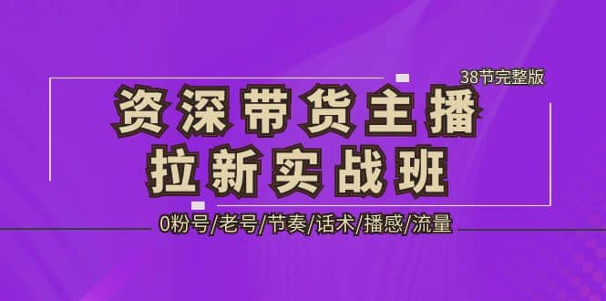 资深·带货主播拉新实战班，0粉号/老号/节奏/话术/播感/流量-38节完整版网赚项目-副业赚钱-互联网创业-独家轻创IP星泽云创