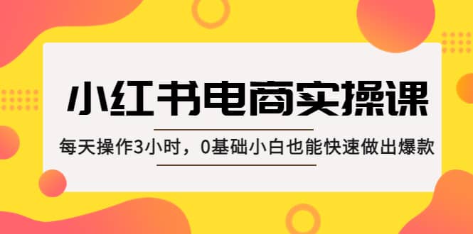 小红书·电商实操课：每天操作3小时，0基础小白也能快速做出爆款网赚项目-副业赚钱-互联网创业-独家轻创IP星泽云创