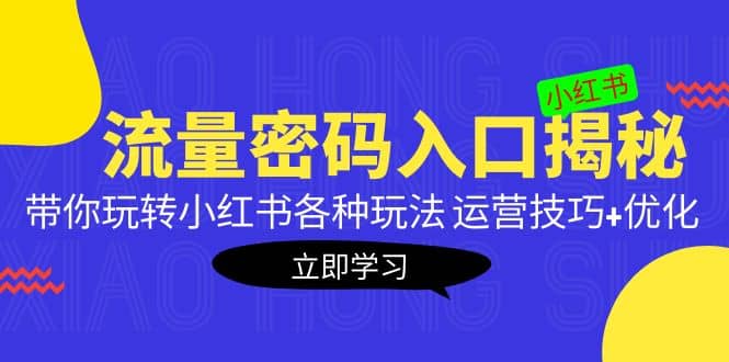 小红书流量密码入口揭秘：带你玩转小红书各种玩法 运营技巧+优化网赚项目-副业赚钱-互联网创业-独家轻创IP星泽云创