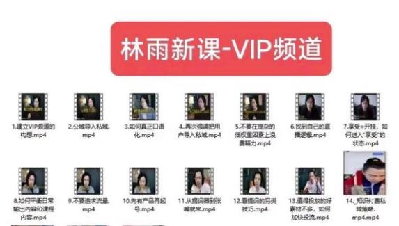 林雨新课VIP频道，玩赚私域/朋友圈/社群网赚项目-副业赚钱-互联网创业-独家轻创IP星泽云创