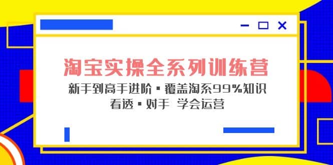 淘宝实操全系列训练营 新手到高手进阶·覆盖·99%知识 看透·对手 学会运营网赚项目-副业赚钱-互联网创业-独家轻创IP星泽云创