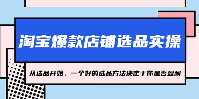 淘宝爆款店铺选品实操，2023从选品开始，一个好的选品方法决定于你是否盈利网赚项目-副业赚钱-互联网创业-独家轻创IP星泽云创