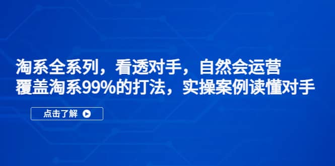 淘系全系列，看透对手，自然会运营，覆盖淘系99%·打法，实操案例读懂对手网赚项目-副业赚钱-互联网创业-独家轻创IP星泽云创