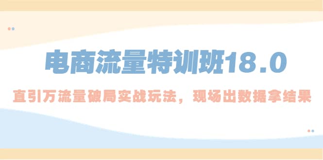 电商流量特训班18.0，直引万流量破局实操玩法，现场出数据拿结果网赚项目-副业赚钱-互联网创业-独家轻创IP星泽云创