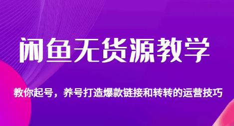 闲鱼无货源教学，教你起号，养号打造爆款链接以及转转的运营技巧网赚项目-副业赚钱-互联网创业-独家轻创IP星泽云创