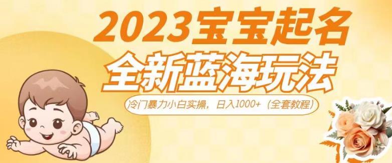 2023宝宝起名全新蓝海玩法，冷门暴力小白实操，日入1000+（全套教程）【揭秘】网赚项目-副业赚钱-互联网创业-独家轻创IP星泽云创