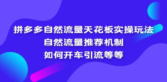 拼多多自然流量天花板实操玩法：自然流量推荐机制，如何开车引流等等网赚项目-副业赚钱-互联网创业-独家轻创IP星泽云创