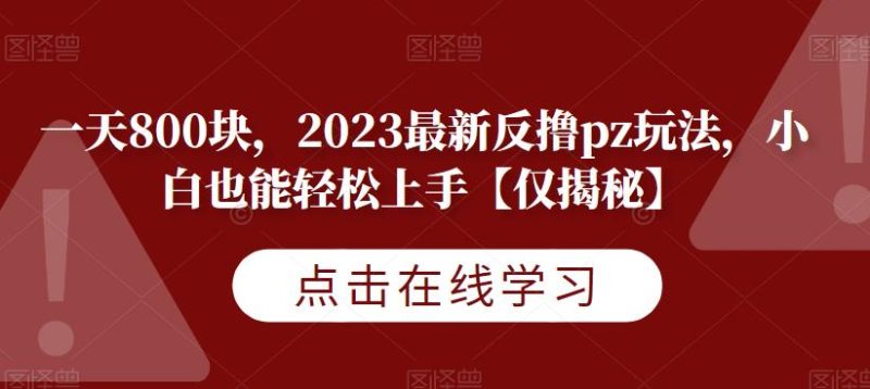 一天800块,2023最新反撸pz玩法,小白也能轻松上手【仅揭秘】网赚项目-副业赚钱-互联网创业-独家轻创IP星泽云创