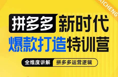 玺承·拼多多新时代爆款打造特训营，全维度讲解拼多多运营逻辑网赚项目-副业赚钱-互联网创业-独家轻创IP星泽云创