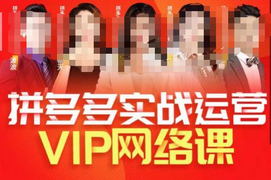 推易拼多多VIP全套直播课程，拼多多店铺实操玩法+实战玩法选款内功+直通车高阶等网赚项目-副业赚钱-互联网创业-独家轻创IP星泽云创