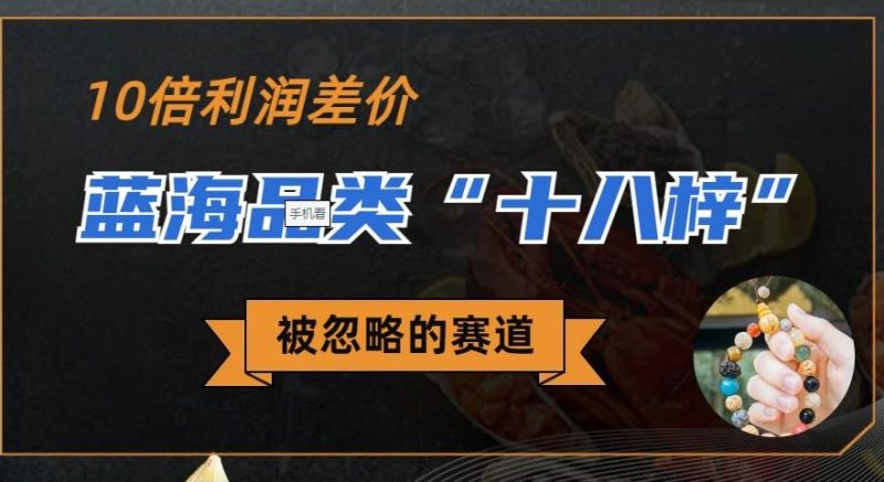 被忽略的蓝海品类“十八籽”，10倍的利润差价，同行一天几十单【揭秘】网赚项目-副业赚钱-互联网创业-独家轻创IP星泽云创