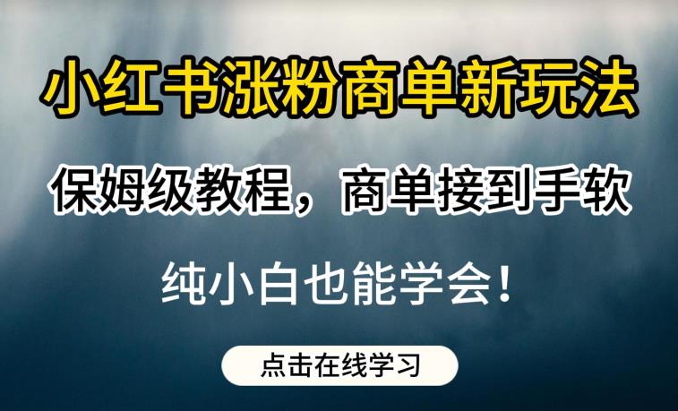 小红书涨粉商单新玩法，保姆级教程，商单接到手软，纯小白也能学会【揭秘】网赚项目-副业赚钱-互联网创业-独家轻创IP星泽云创