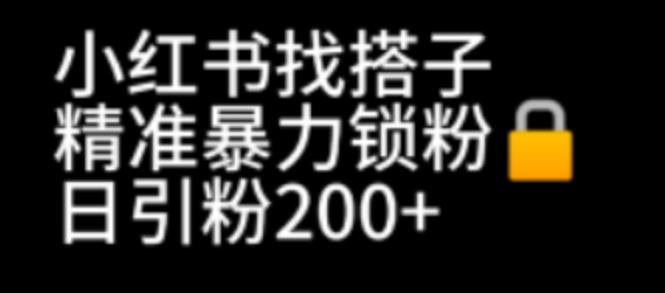 小红书找搭子暴力精准锁粉+引流日引200+精准粉网赚项目-副业赚钱-互联网创业-独家轻创IP星泽云创
