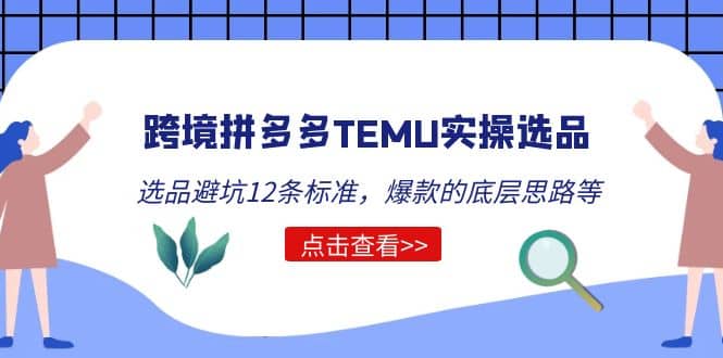 跨境拼多多TEMU实操选品运营方法，选品避坑12条标准，爆款的底层思路等网赚项目-副业赚钱-互联网创业-独家轻创IP星泽云创