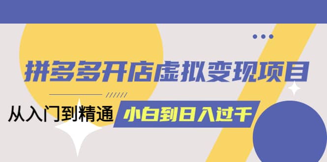 拼多多开店虚拟变现项目：入门到精通 从小白到日入1000（完整版）4月10更新网赚项目-副业赚钱-互联网创业-独家轻创IP星泽云创