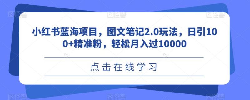 小红书蓝海项目，图文笔记2.0玩法，日引100+精准粉，轻松月入过10000【揭秘】网赚项目-副业赚钱-互联网创业-独家轻创IP星泽云创