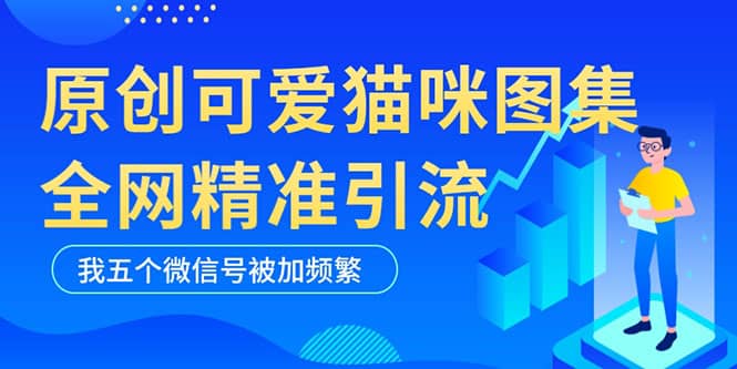 黑科技纯原创可爱猫咪图片，全网精准引流，实操5个VX号被加频繁网赚项目-副业赚钱-互联网创业-独家轻创IP星泽云创