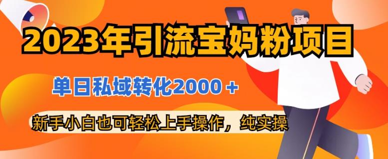 2023年引流宝妈粉项目，单日私域转化2000＋，新手小白也可轻松上手操作，纯实操网赚项目-副业赚钱-互联网创业-独家轻创IP星泽云创