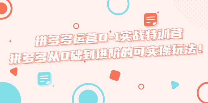 拼多多运营0-1实战特训营，拼多多从0础到进阶的可实操玩法网赚项目-副业赚钱-互联网创业-独家轻创IP星泽云创