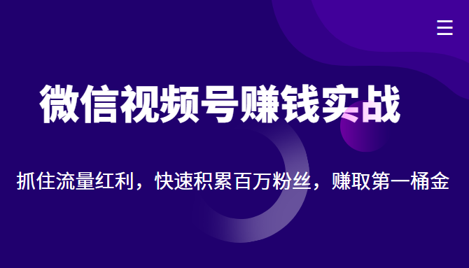 微信视频号赚钱实战：抓住流量红利，快速积累百万粉丝，赚取你的第一桶金网赚项目-副业赚钱-互联网创业-独家轻创IP星泽云创