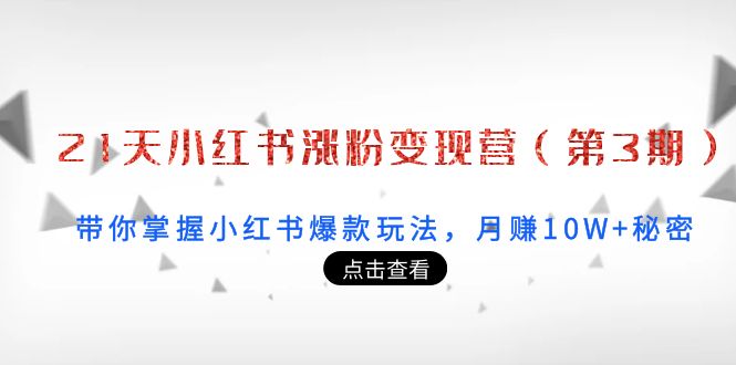 21天小红书涨粉变现营：带你掌握小红书爆款玩法，月赚10W+秘密网赚项目-副业赚钱-互联网创业-独家轻创IP星泽云创