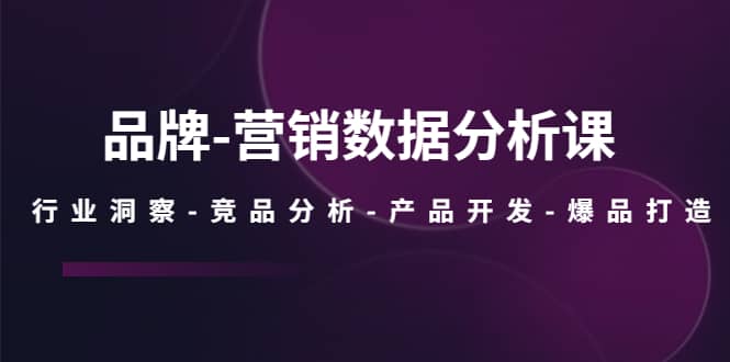 品牌-营销数据分析课，行业洞察-竞品分析-产品开发-爆品打造网赚项目-副业赚钱-互联网创业-独家轻创IP星泽云创