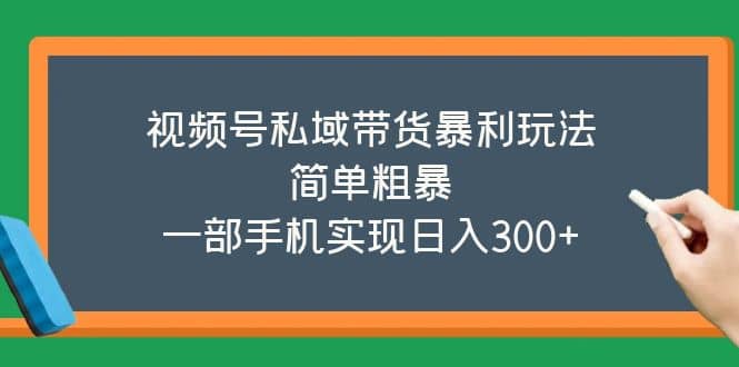 视频号私域带货暴利玩法，简单粗暴网赚项目-副业赚钱-互联网创业-独家轻创IP星泽云创