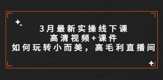 3月最新实操线下课高清视频+课件，如何玩转小而美，高毛利直播间网赚项目-副业赚钱-互联网创业-独家轻创IP星泽云创