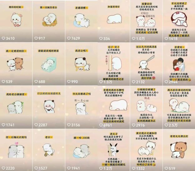 抖音表情包小程序变现项目，一条龙玩法详细大解析，视频版学习网赚项目-副业赚钱-互联网创业-独家轻创IP星泽云创