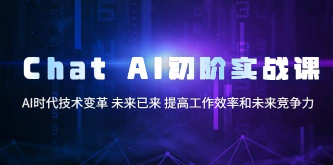 Chat AI初阶实战课，AI时代技术变革 未来已来 提高工作效率和未来竞争力网赚项目-副业赚钱-互联网创业-独家轻创IP星泽云创